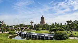 贝博艾佛森 建洲绿化工程